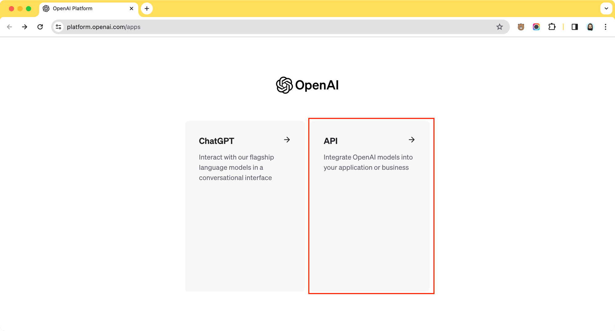 OpenAI post-login screen - choose API.png